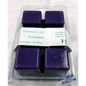 Cubes de cire parfumé (spa)