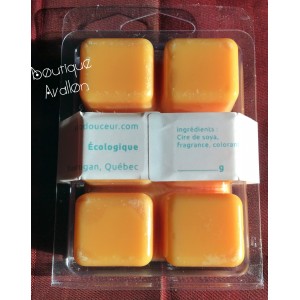 Cubes de cire parfumé (orange confit)