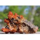 Vanadinite